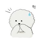 포동펫살롱 이미지