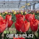 팜팜스토어 이미지