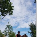 홀스킹덤 팜스테이 이미지