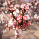 김해건설공업고등학교 이미지