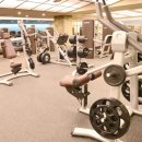 M.J 휘트니스 이미지