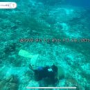 카 포인트 Daum카페