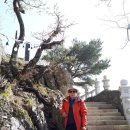 천성산가는길 이미지