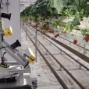 주식회사 운마켓 이미지