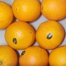 먹방농장1 이미지