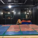 브라보 복싱 이미지