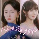 인연 - 서구 달서천로57길 40 | 人面桃花长相忆 (어긋난 인연) 맹가흔&애홍진 후기