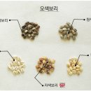 장수양행 이미지