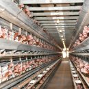 현인농원 이미지