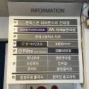 [카페] 건대 오페뜨 / 당근케이크 찐 맛집, 조용한 늦여름 감성 가득