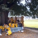 정자나무아래 이미지