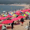 왕산해수욕장 연합뉴스