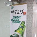 세종참치 이미지