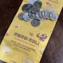 용인운수(주) | 수원 용인 아이랑 가볼만한 곳 동물체험 가능한 실내동물원