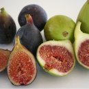 정안영농조합법인 이미지