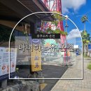 정원(願) | 후쿠오카 나미하노유 온천 | 뚜벅이 당일 코스 후기 +) 셔틀버스 정보