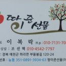 선혁농장 이미지