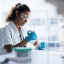 랩스프로 이미지