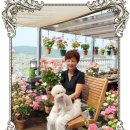 하바드안경 이미지