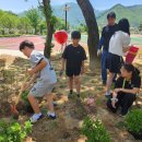연풍초등학교, 교직원과 아이들이 함께 가꾸는 학교숲 이야기 이미지