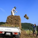 ㈜엠에프지코리아 매드포갈릭 이미지