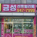 금성센트럴리움공인중개사사무소 이미지