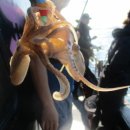 새댁쭈꾸미 이미지