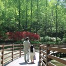 장태산휴양림 이미지