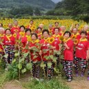 빙기실영농조합법인 이미지