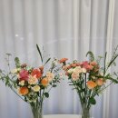 라포즈플레르