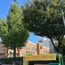 서부대로1 (행정전용) | 🧔‍♂️ 대구 남성 전용 자연눈썹 ‘ANDYBROW’ 찐찐 후기 ✨