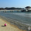 포항시북구95 이미지