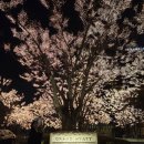 CU 용산한강진 | 그랜드 하얏트 서울 한강뷰와 조식, 수영장,아이스링크 리얼후기 #내돈