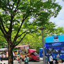 노은동로(유성-59) 이미지