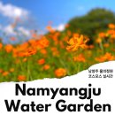 조안면.복지회관 | 남양주 여행 갈만한곳 물의정원 코스모스 주말 여행 추천