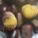 알밤약국 이미지