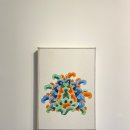 리호화실 이미지