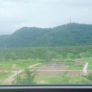 미림주유소 이미지