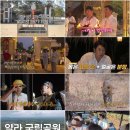 투어시아