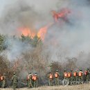 진화목장 이미지