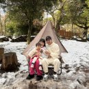 호도귤정원 이미지