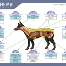 파란약국 이미지
