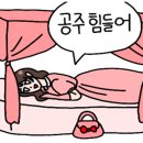 블루샥 포항시청점 이미지