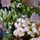 생활의 향기 이미지