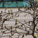 김천보건소 이미지