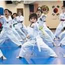 양양 태권도장 이미지