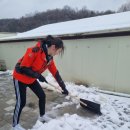 팅커벨하우스 이미지