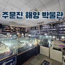 삼양포구(해양수산과) | 강릉 주문진 해양 박물관 일부러 찾아갈 필요는 없지만! 주문진 수산시장 구경