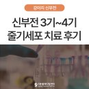 신장동물병원 | 만성신부전 2편] 신부전 3기 4기 줄기세포로 회복한 후기 - 울산 강아지 고양이 신장전문 에스동물병원