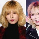 잇걸 머니투데이